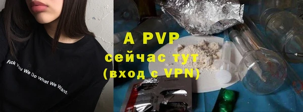 a pvp Алзамай
