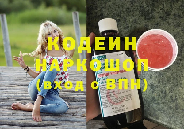 гашик Алексин